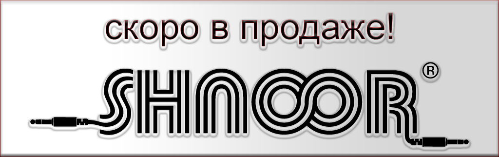 Торговая марка SHNOOR на российском рынке.